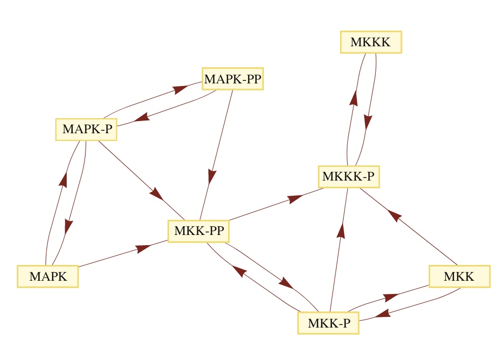 Adaptive modularization of the MAPK signaling pathway using the multiagent paradigm